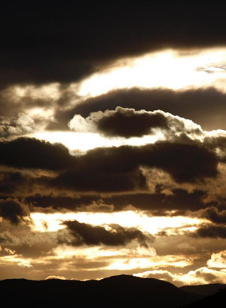 新华网安徽频道|安徽新闻|安徽要闻