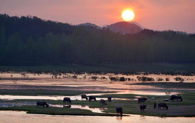 国民阅读调查报告:中国人年均读书不足8本