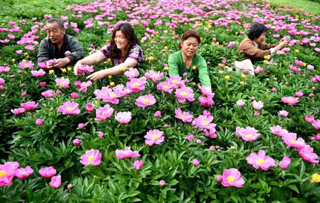 安徽淮南一教育局原局长受贿 退休4年后仍被查