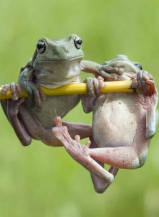 安徽淮南一教育局原局长受贿 退休4年后仍被查