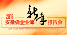2016年安徽省企业家新年报告会