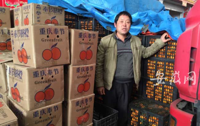 重庆果农千里来宣城卖脐橙 运来两万斤无人问津