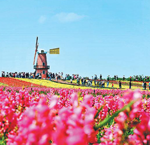 景美花香醉遊人